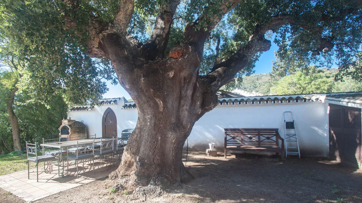 Property main view 51