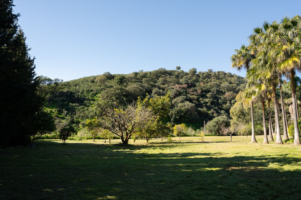 Property main view 30