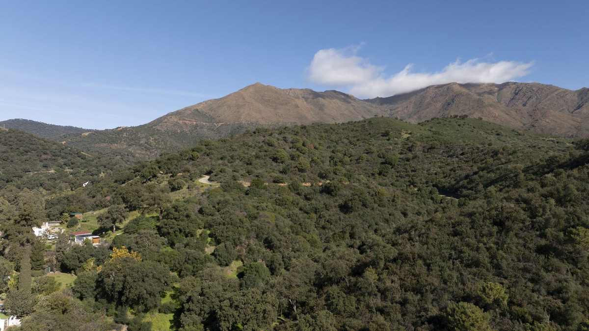 Property main view 33