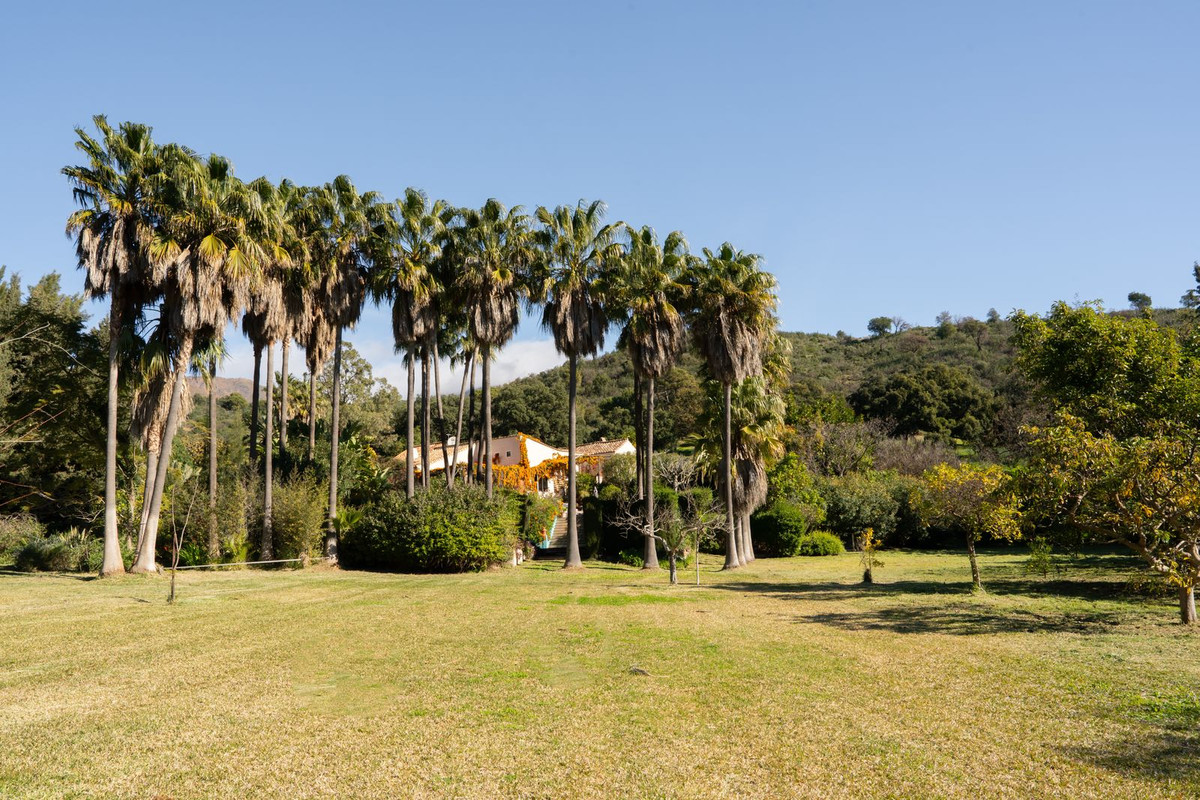 Property main view 7