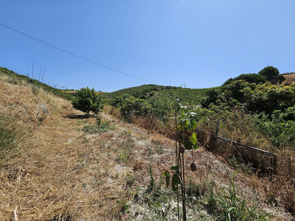 Property main view 17