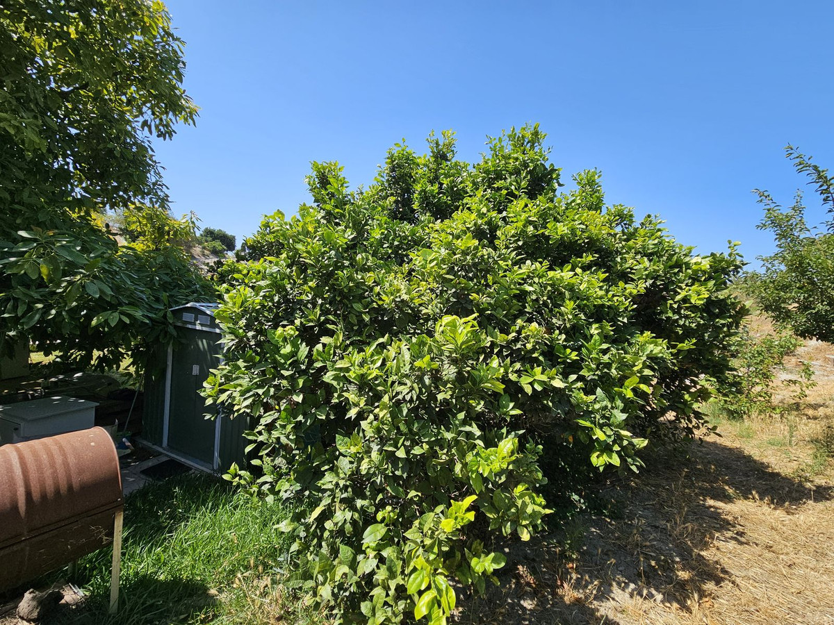 Property main view 7