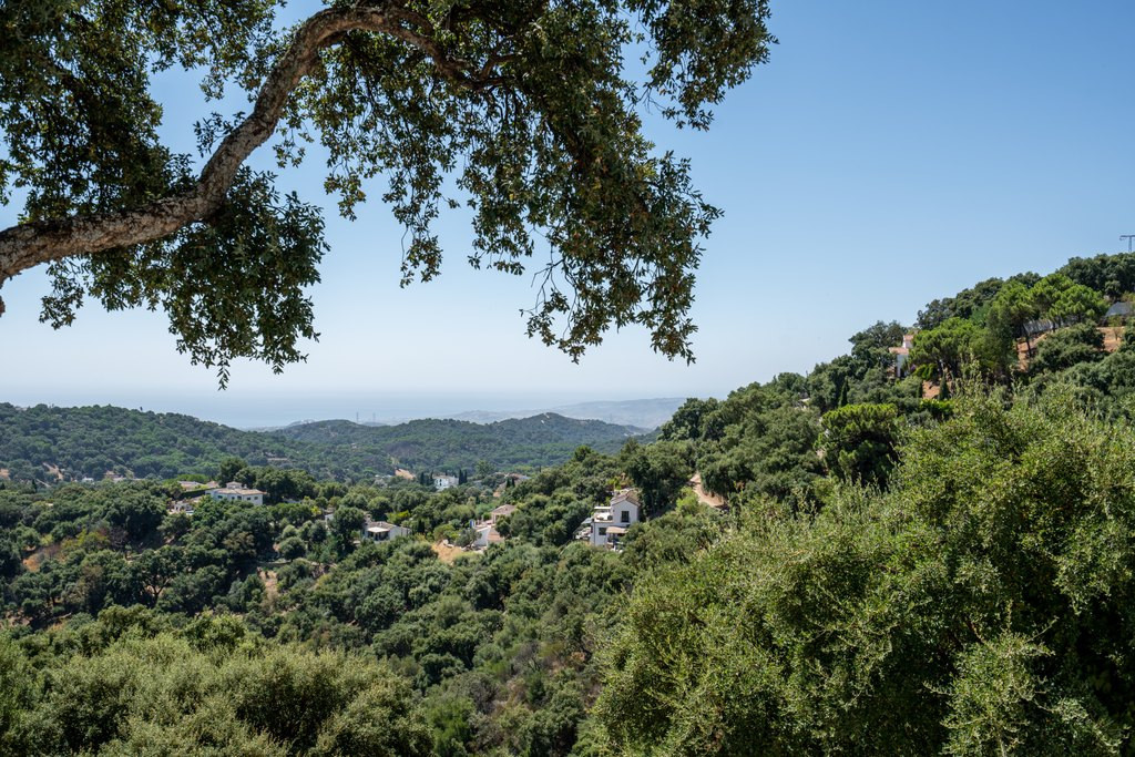 Finca - Cortijo te koop in Casares | 5 slaapkamers H5159779