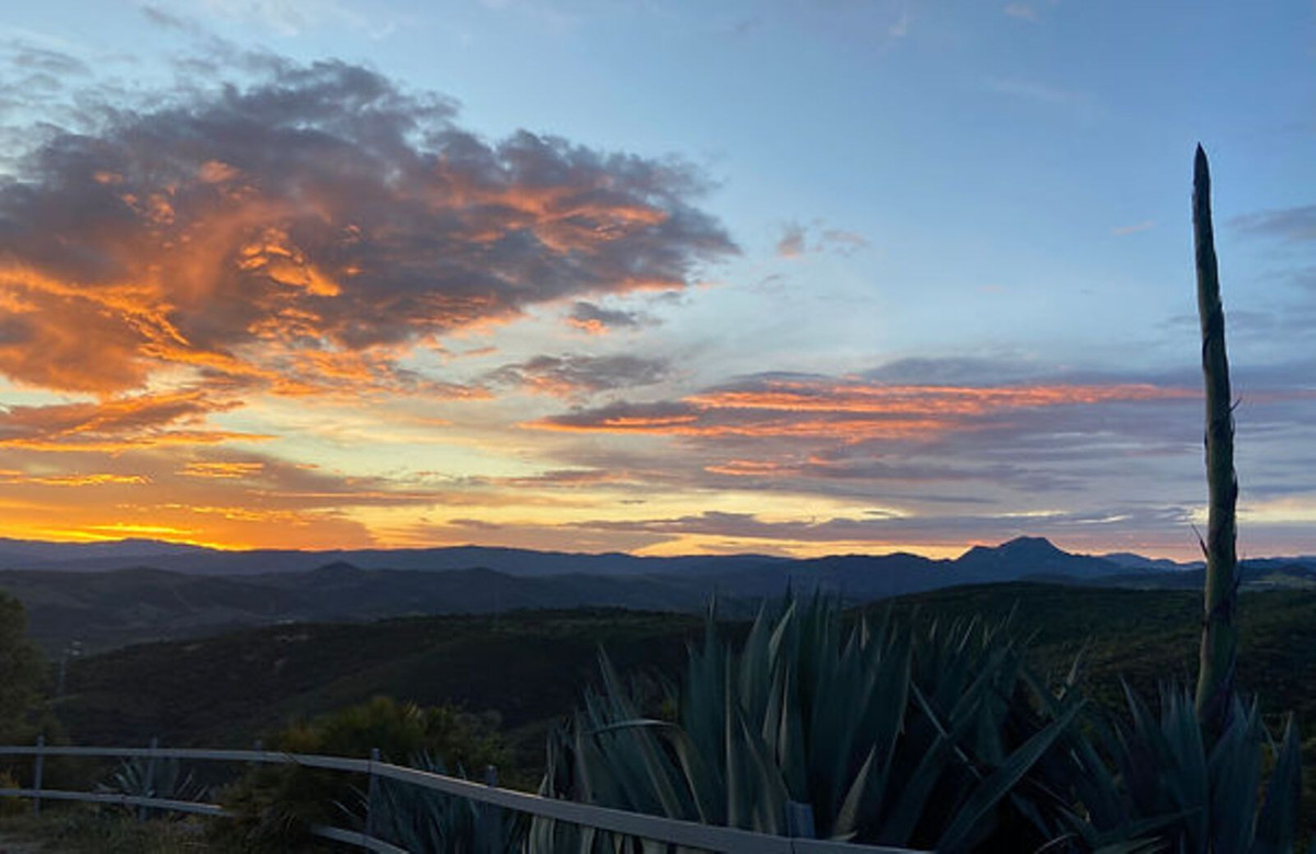 Property main view 10