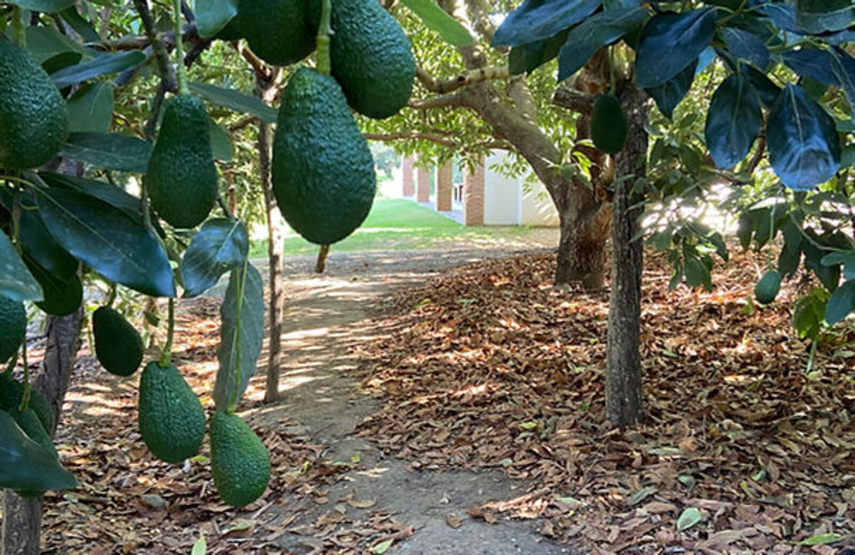 Property main view 11