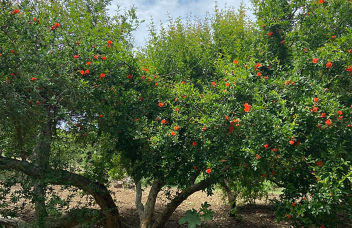 Property main view 14