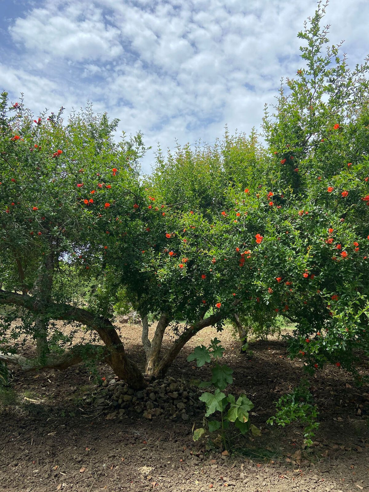 Property main view 15