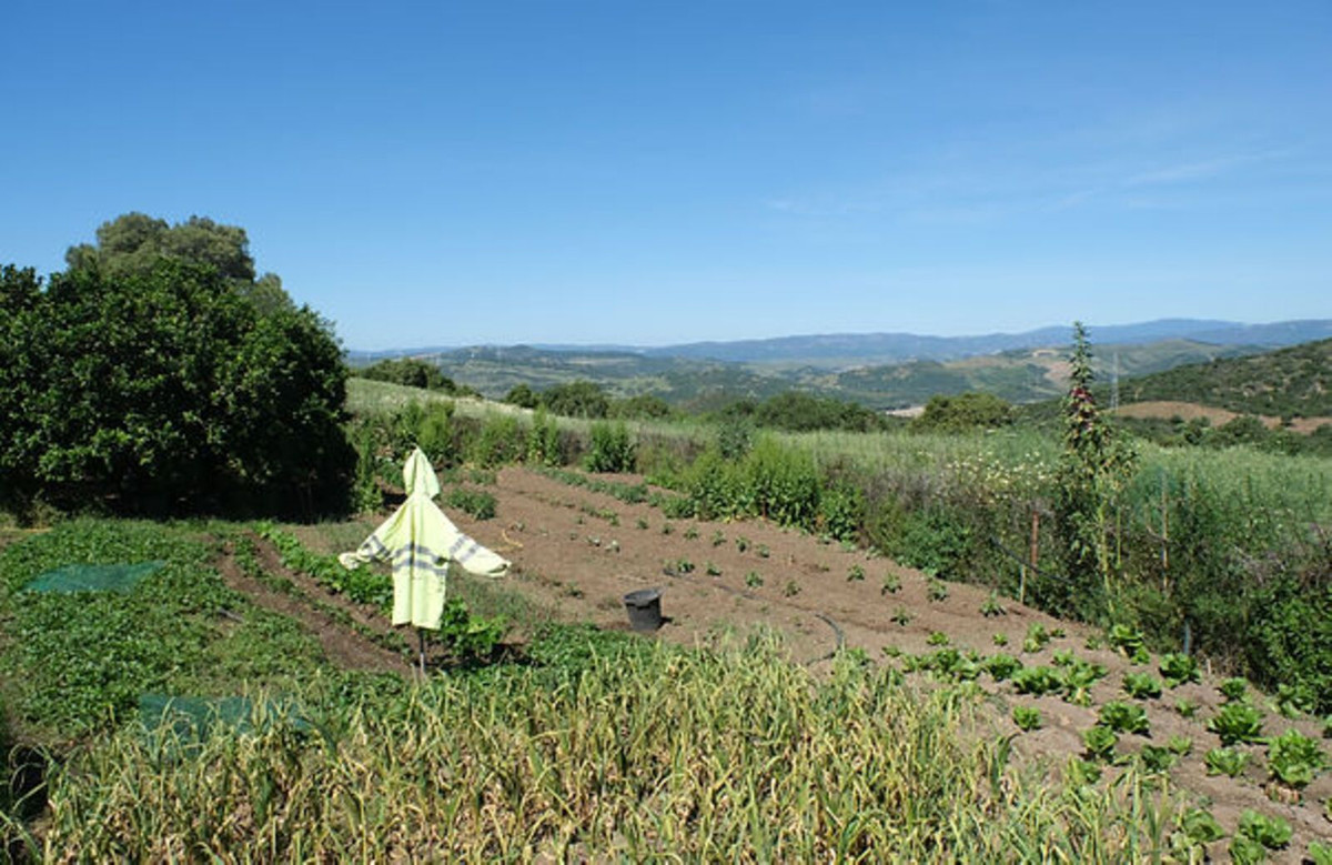 Property main view 19