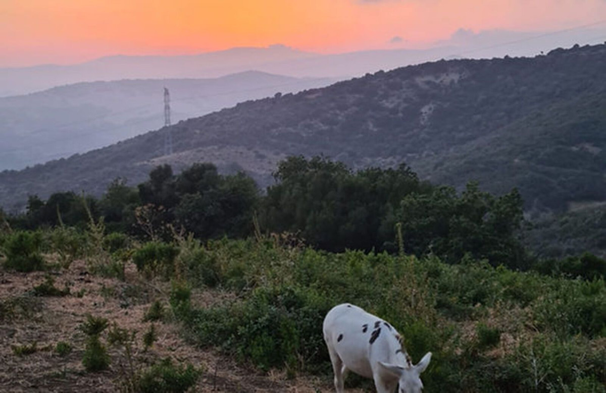 Property main view 23