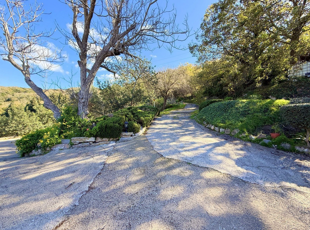 Property main view 50