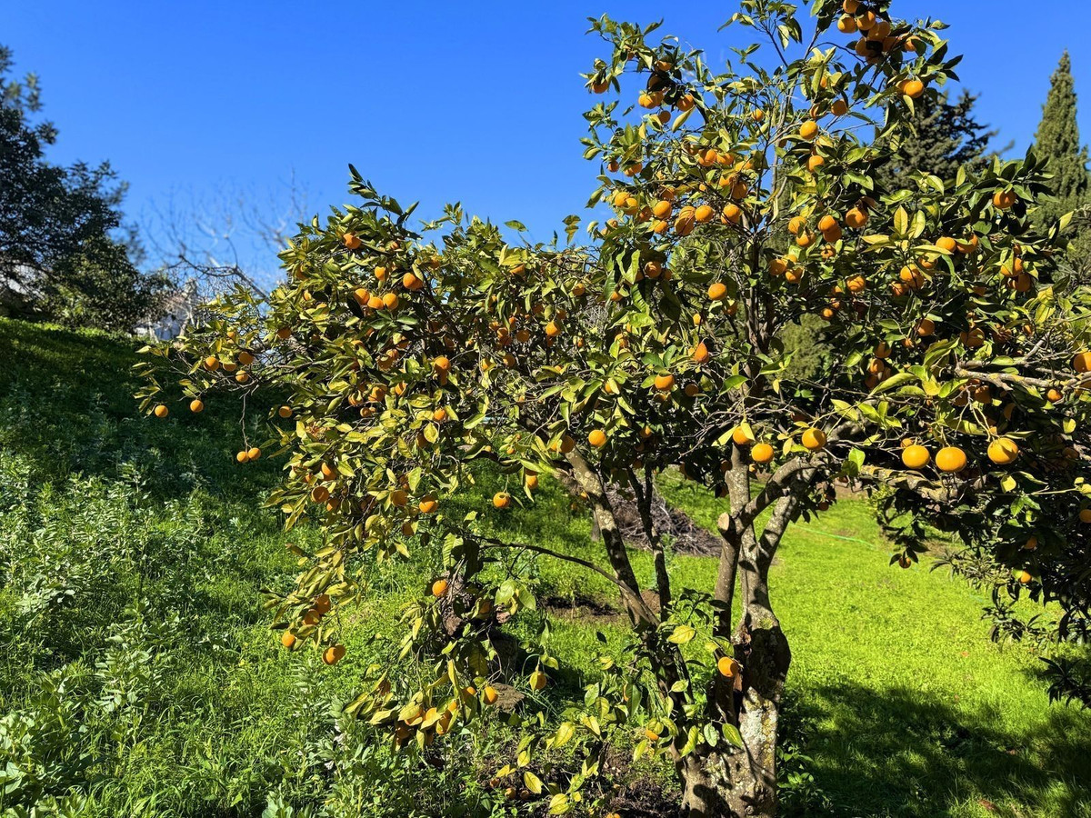 Property main view 73