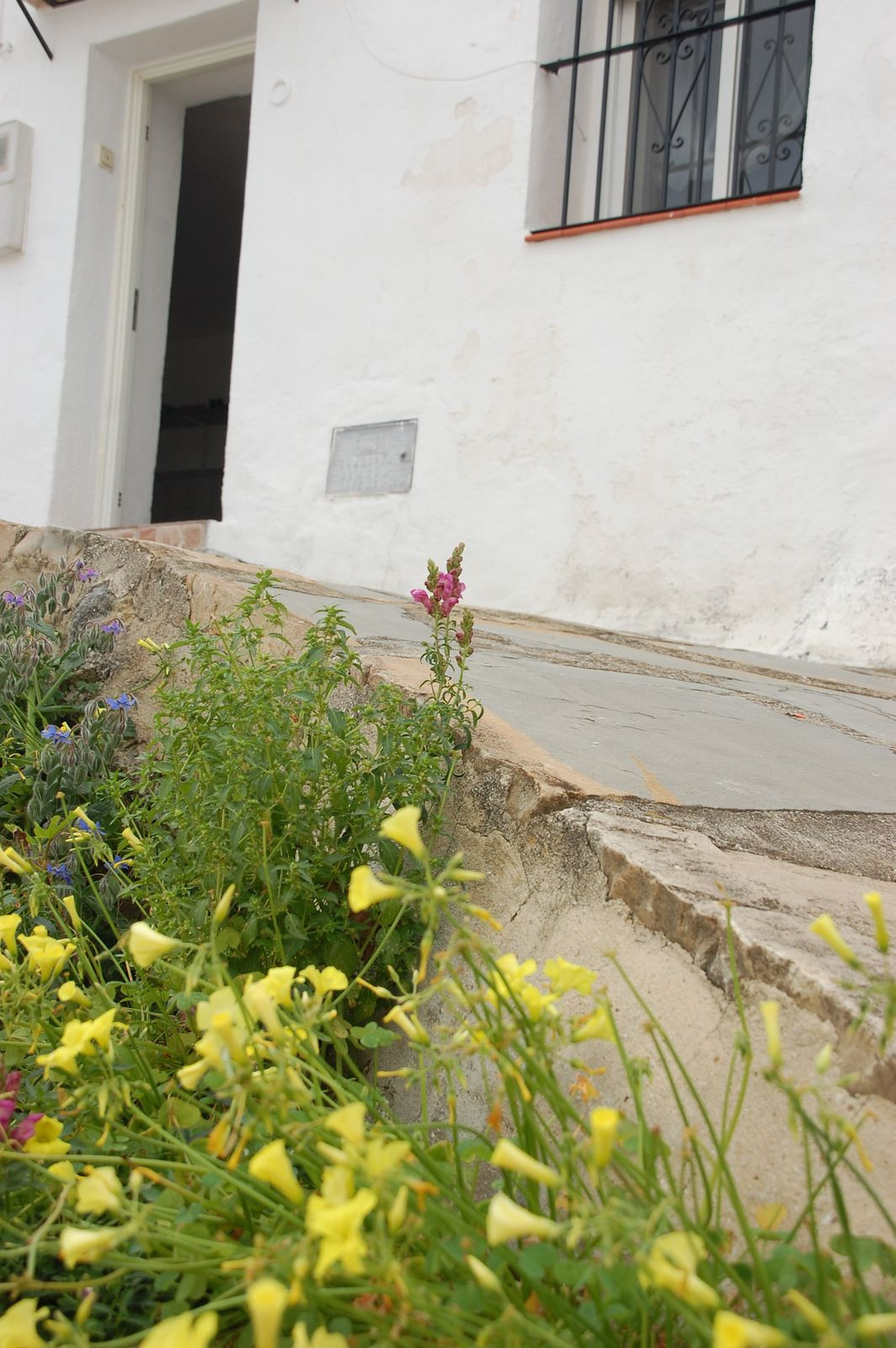 Property main view 41