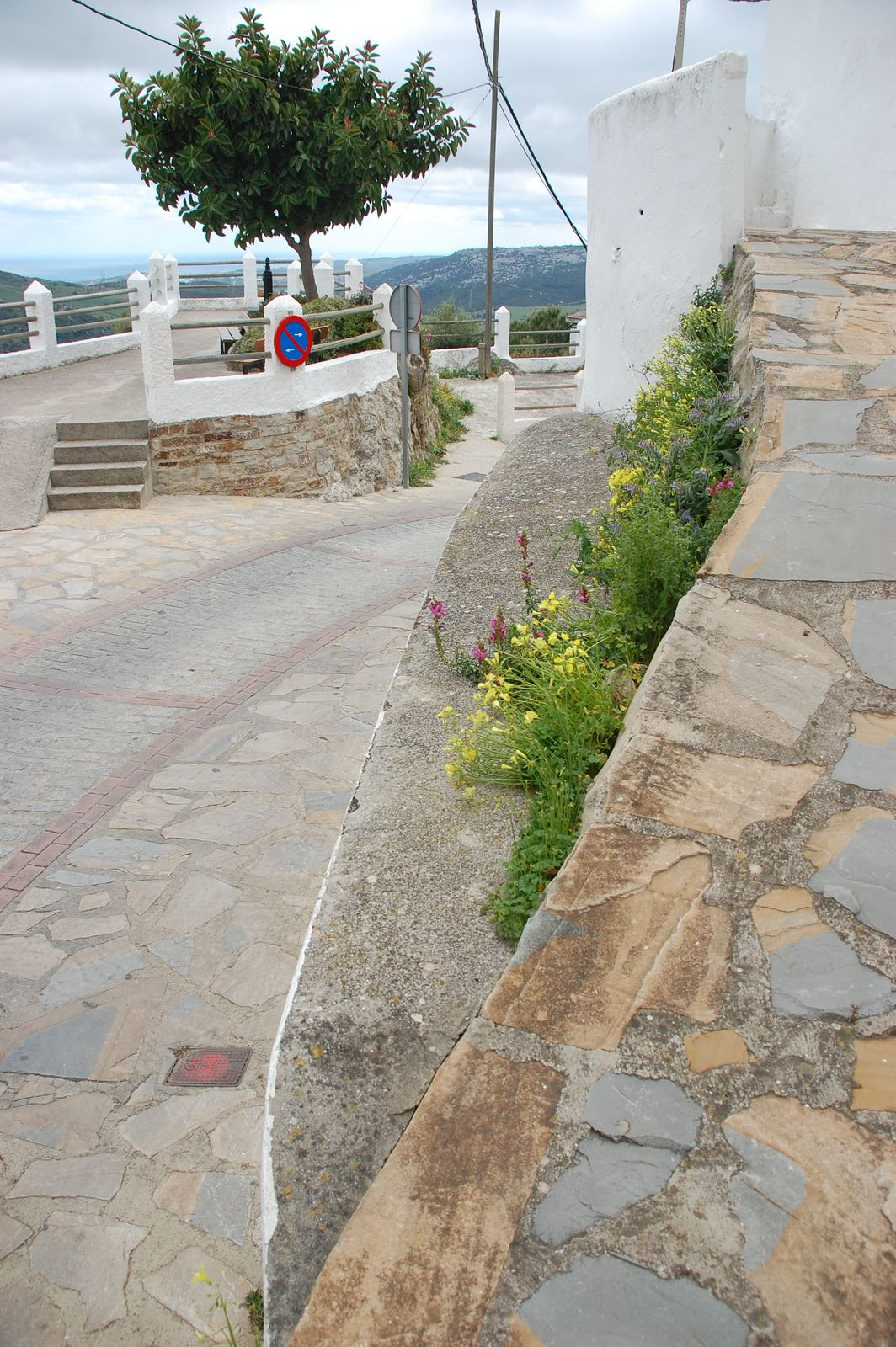 Property main view 43