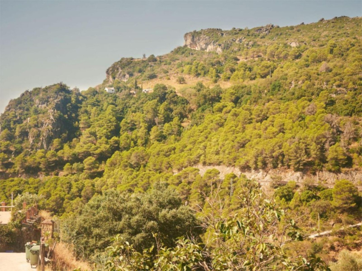 Finca - Cortijo te koop in Casares | 1 slaapkamers H5317441