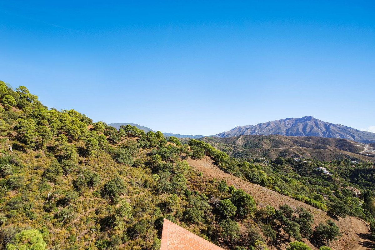 Property main view 18