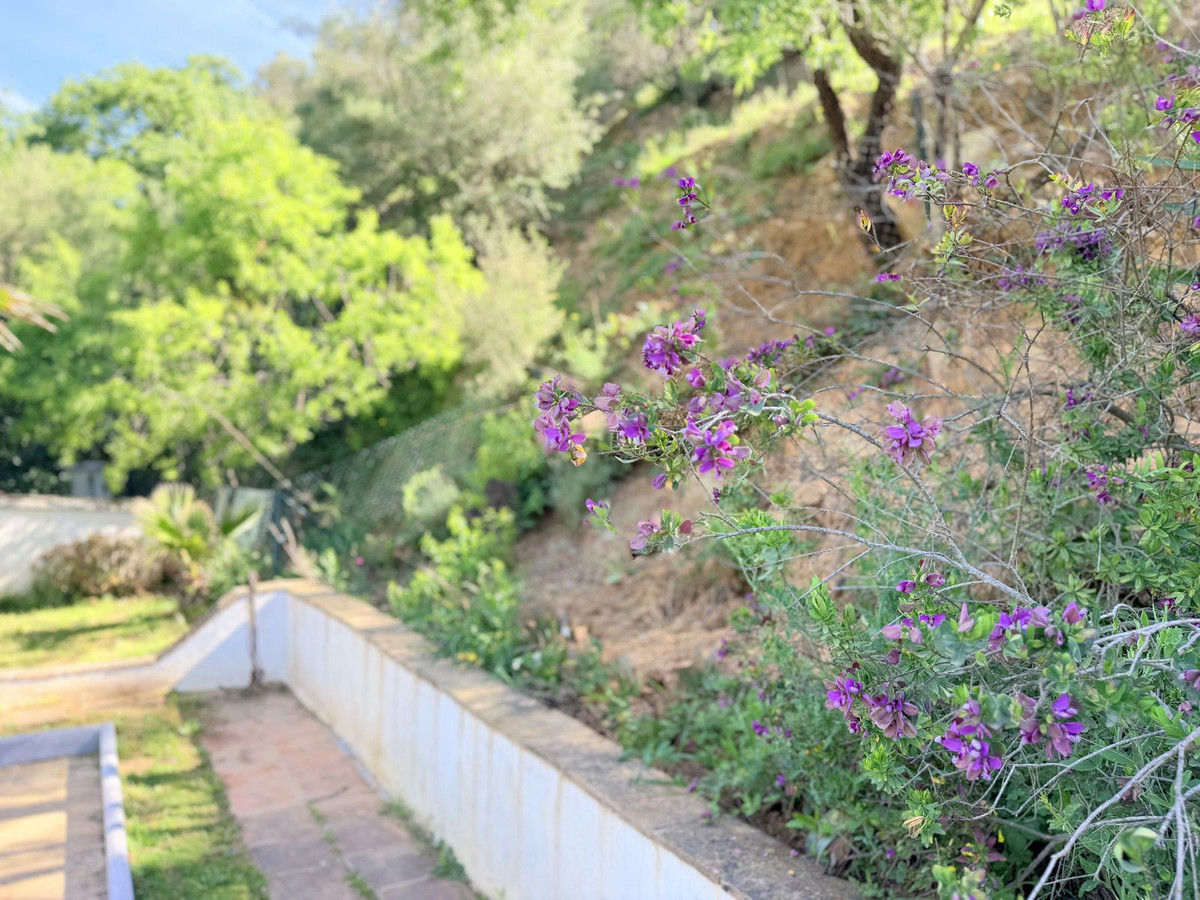 Finca - Cortijo te koop in Casares | 4 slaapkamers H5374579