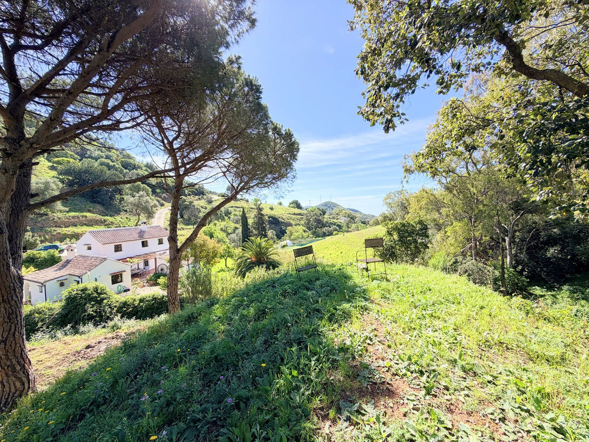 Finca - Cortijo te koop in Casares | 4 slaapkamers H5374579
