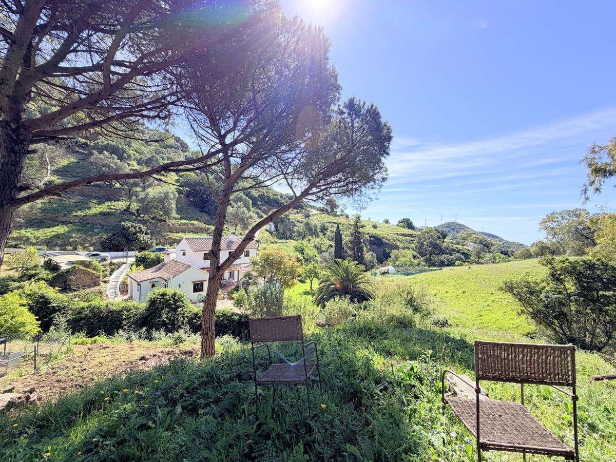 Finca - Cortijo te koop in Casares | 4 slaapkamers H5374579