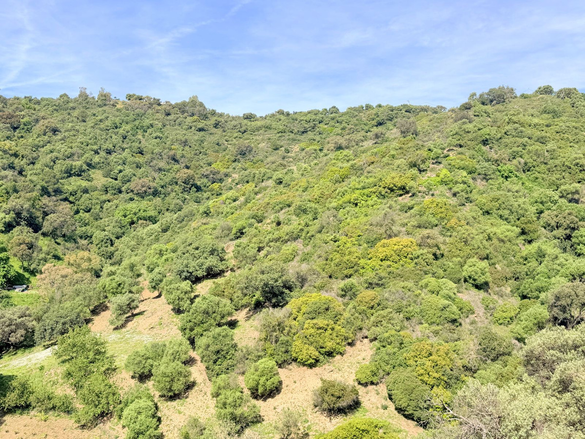 Finca - Cortijo te koop in Casares | 4 slaapkamers H5374579