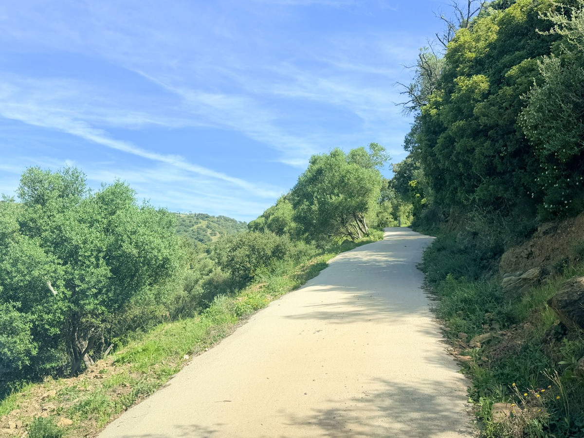 Finca - Cortijo te koop in Casares | 4 slaapkamers H5374579