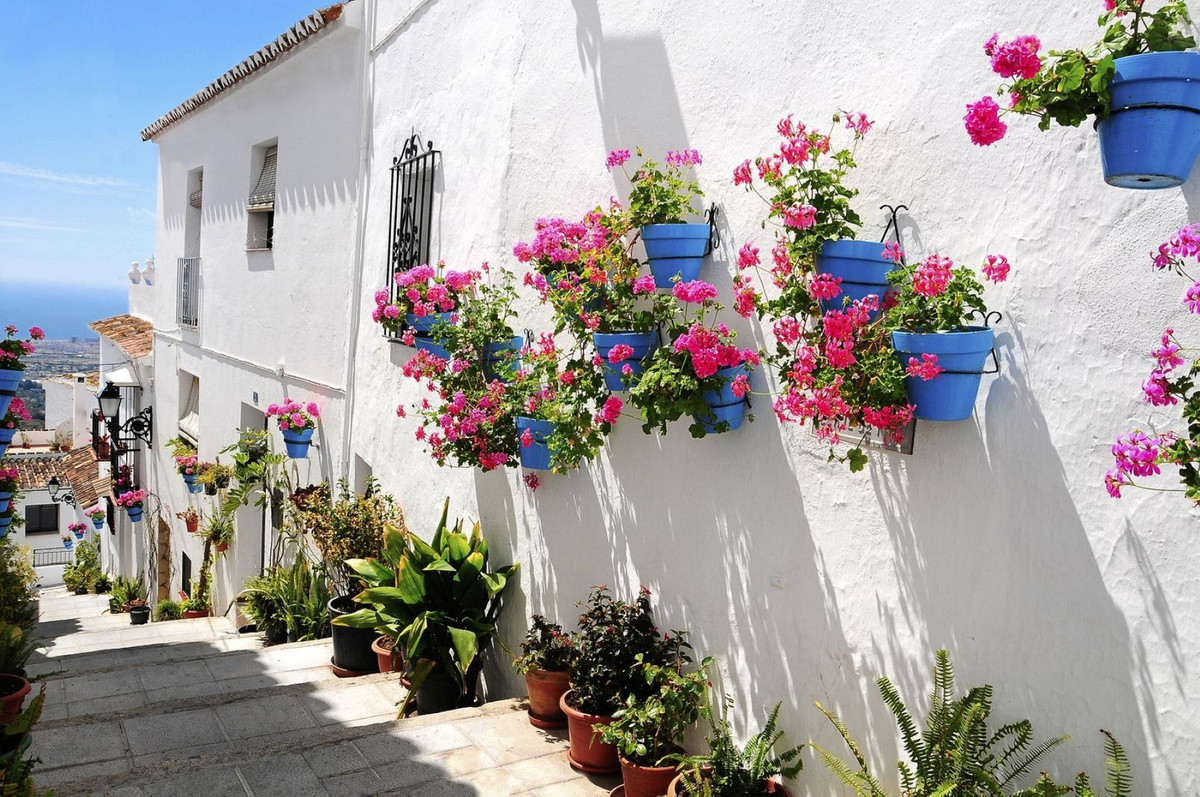 Finca - Cortijo te koop in Casares | 4 slaapkamers H5374579