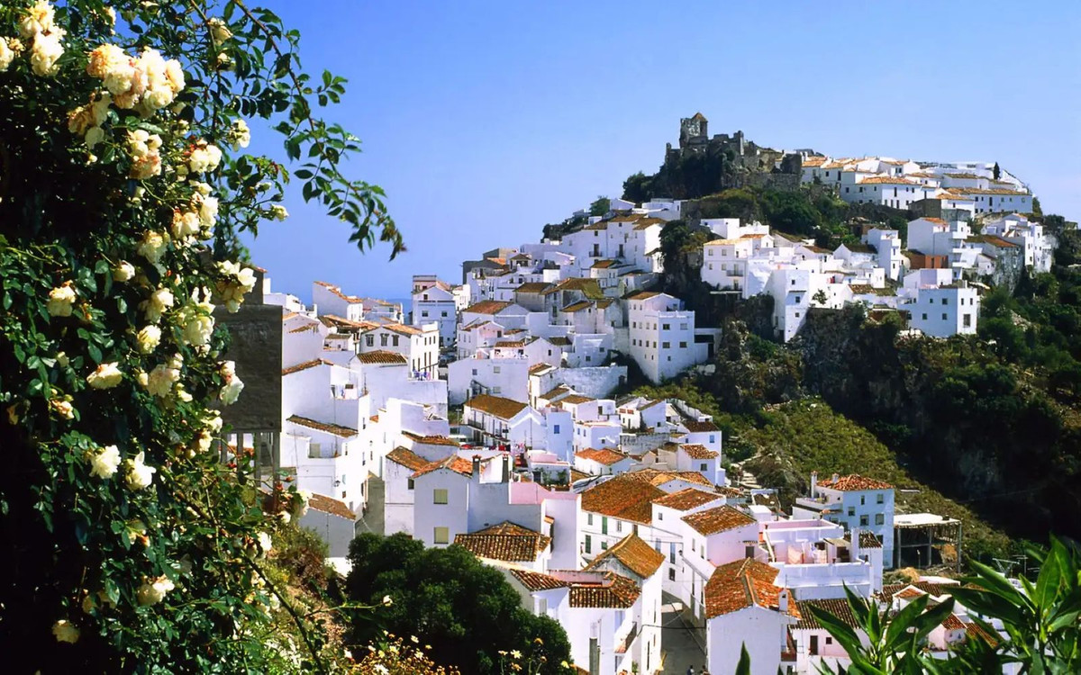 Finca - Cortijo te koop in Casares | 4 slaapkamers H5374579