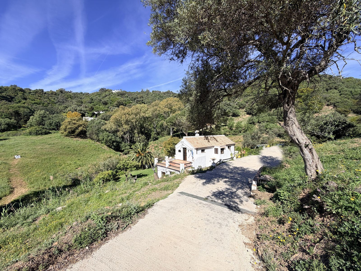 Finca - Cortijo te koop in Casares | 4 slaapkamers H5374579
