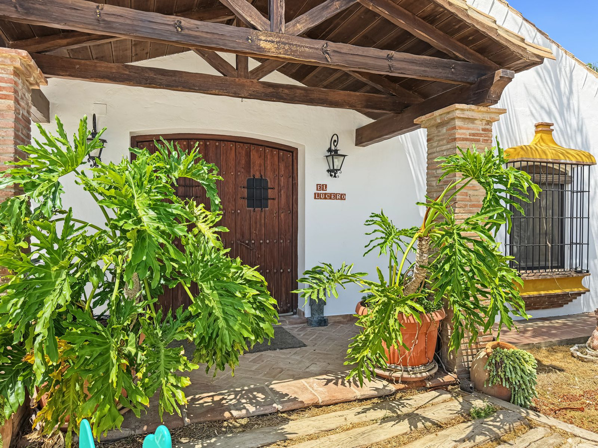 Finca - Cortijo te koop in Casares | 3 slaapkamers H5468413