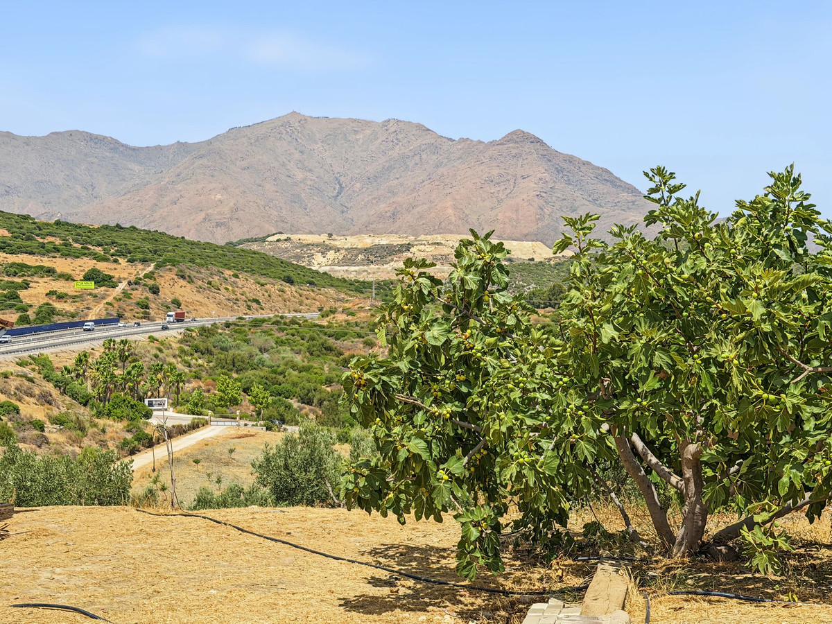 Finca - Cortijo te koop in Casares | 3 slaapkamers H5468413