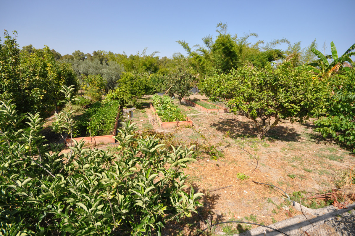 Property main view 28