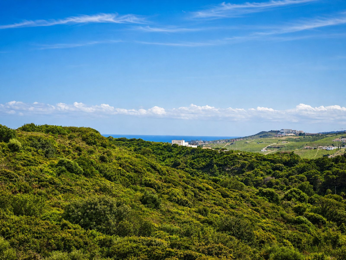 Property main view 59