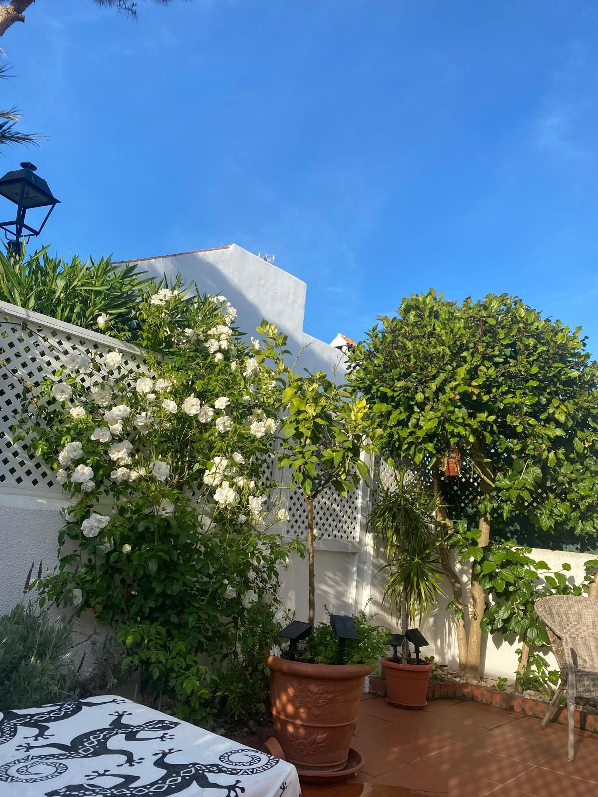 Huis te koop in Casares Playa | 3 slaapkamers H5412481
