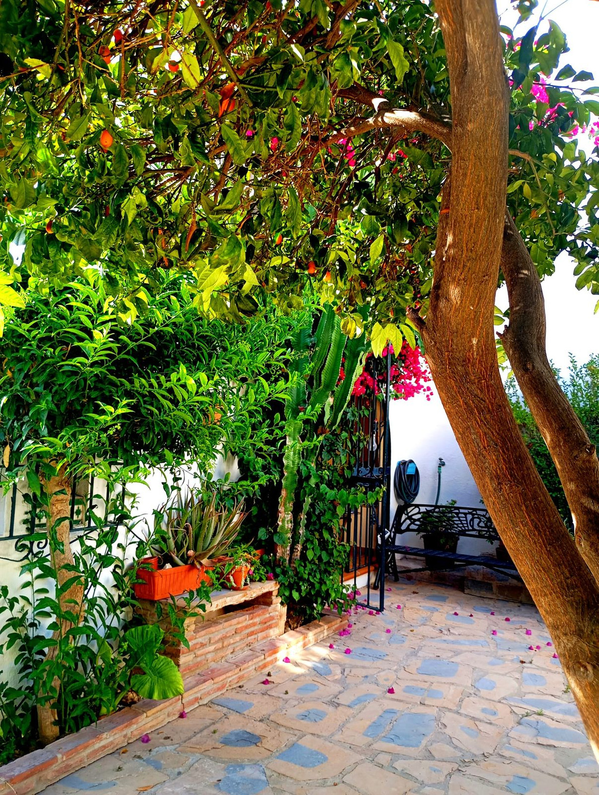 Huis te koop in Casares Playa | 4 slaapkamers H5433904