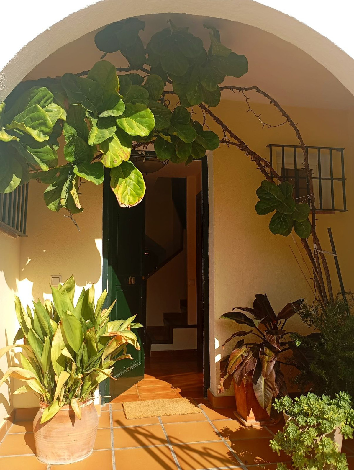 Huis te koop in Casares Playa | 4 slaapkamers H5433904
