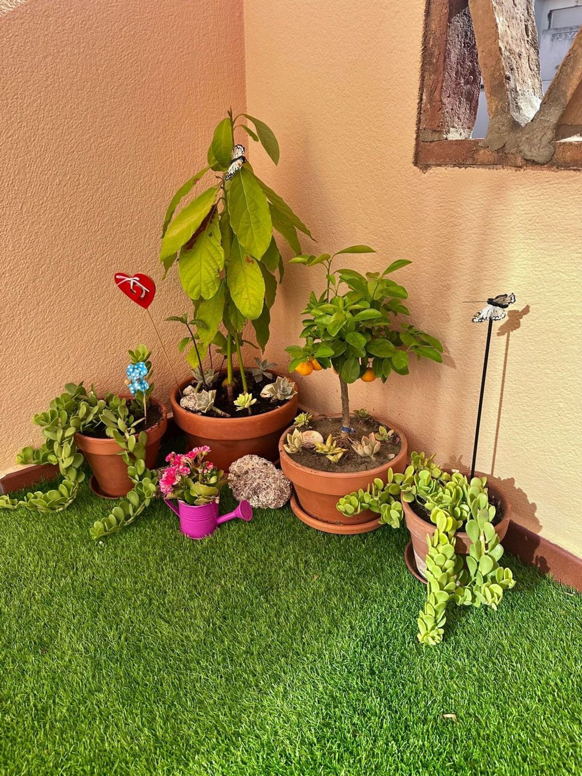 Property main view 15