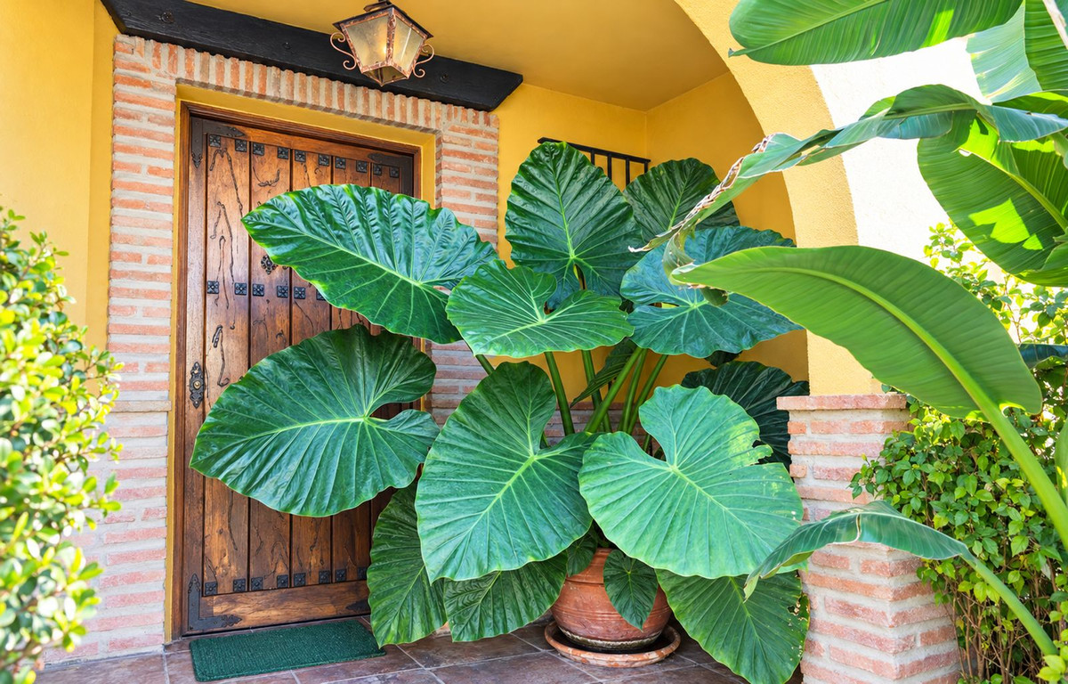 Property main view 49