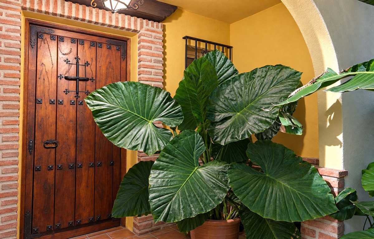 Property main view 57