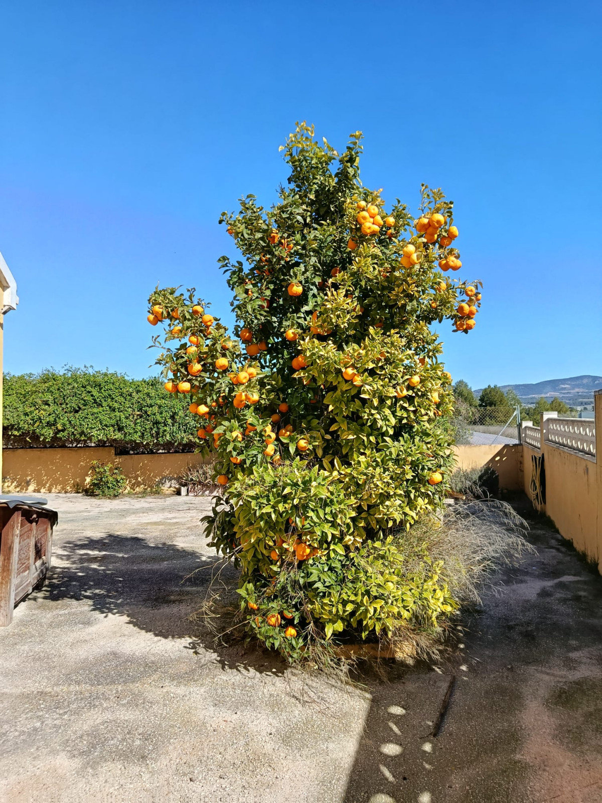 Property main view 2