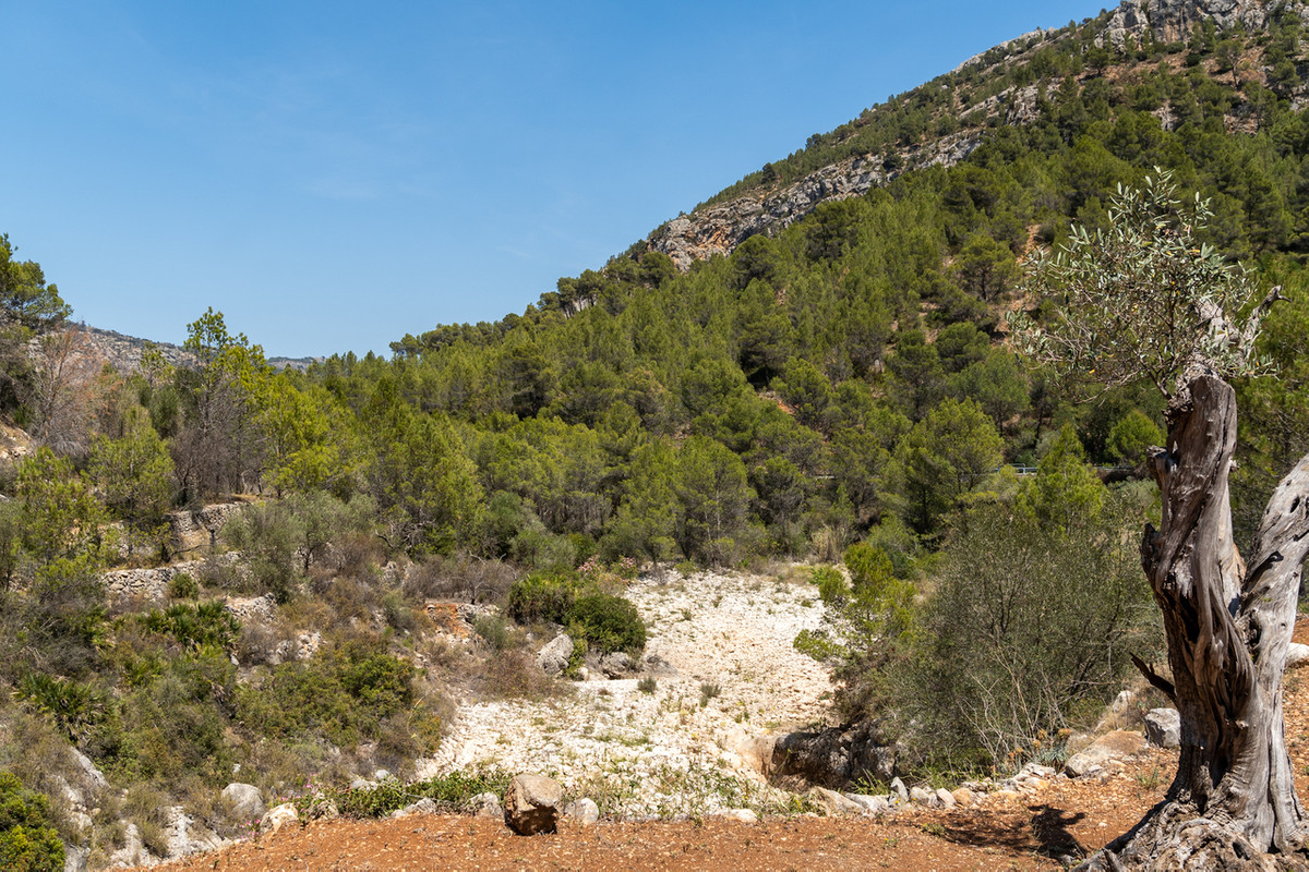 Property main view 30