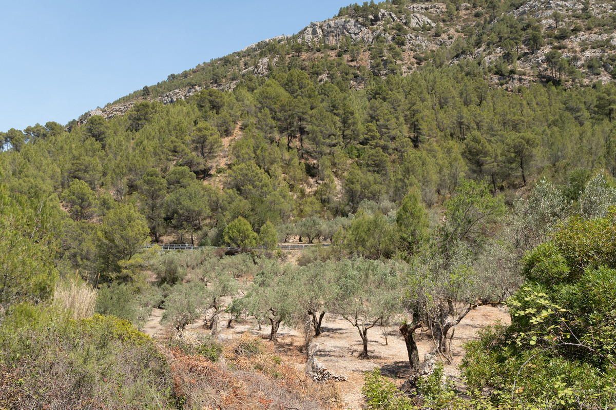 Property main view 32