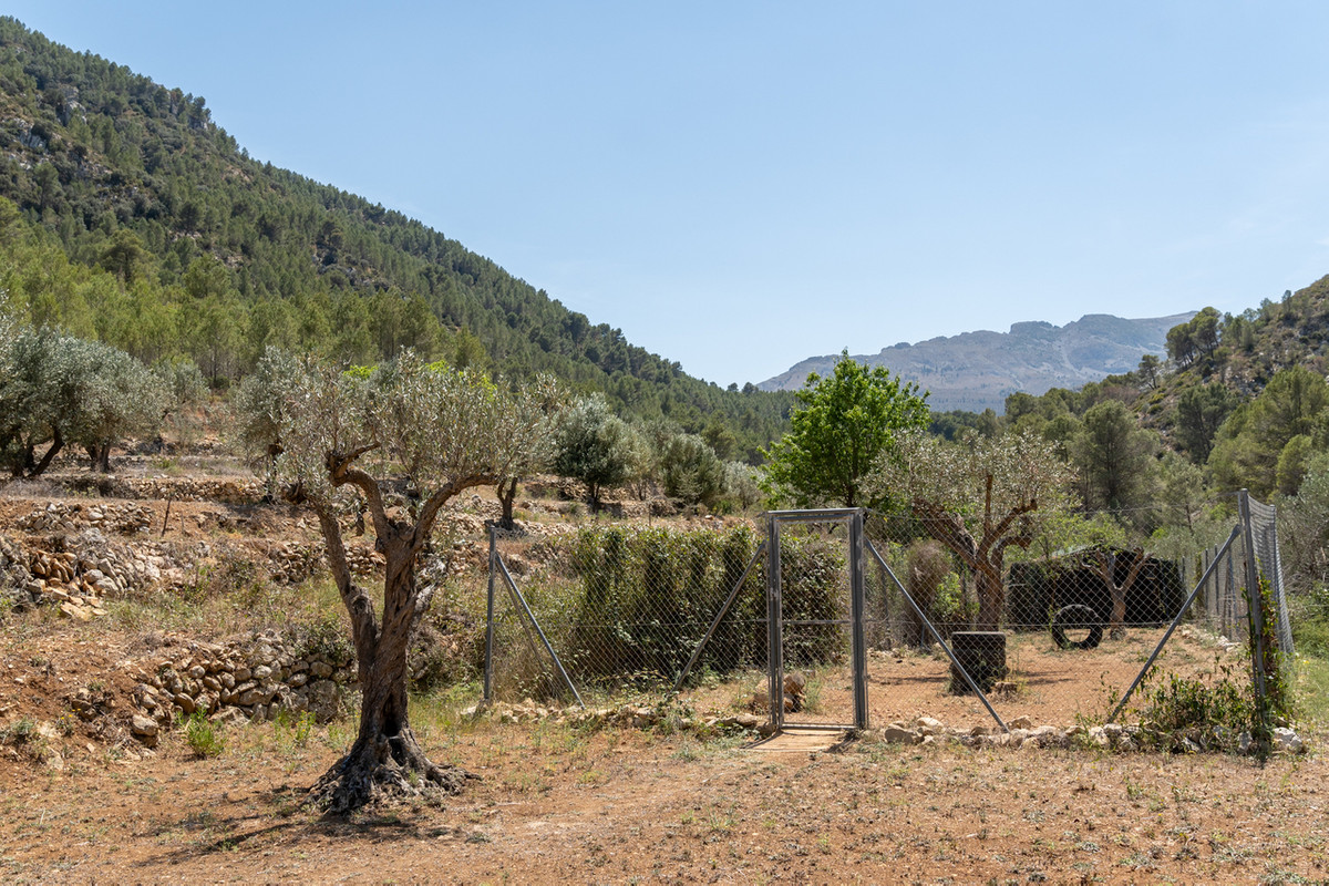 Property main view 35