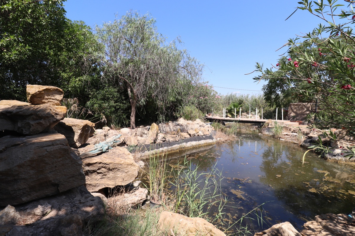 Property main view 41