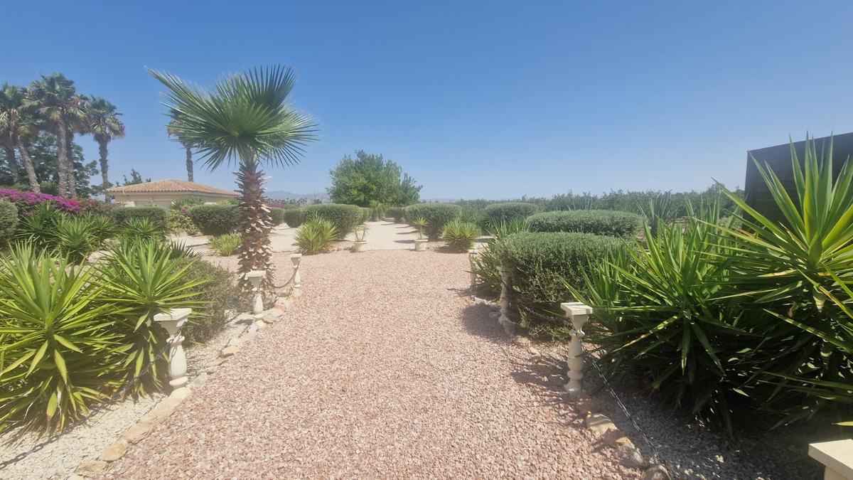 Property main view 26
