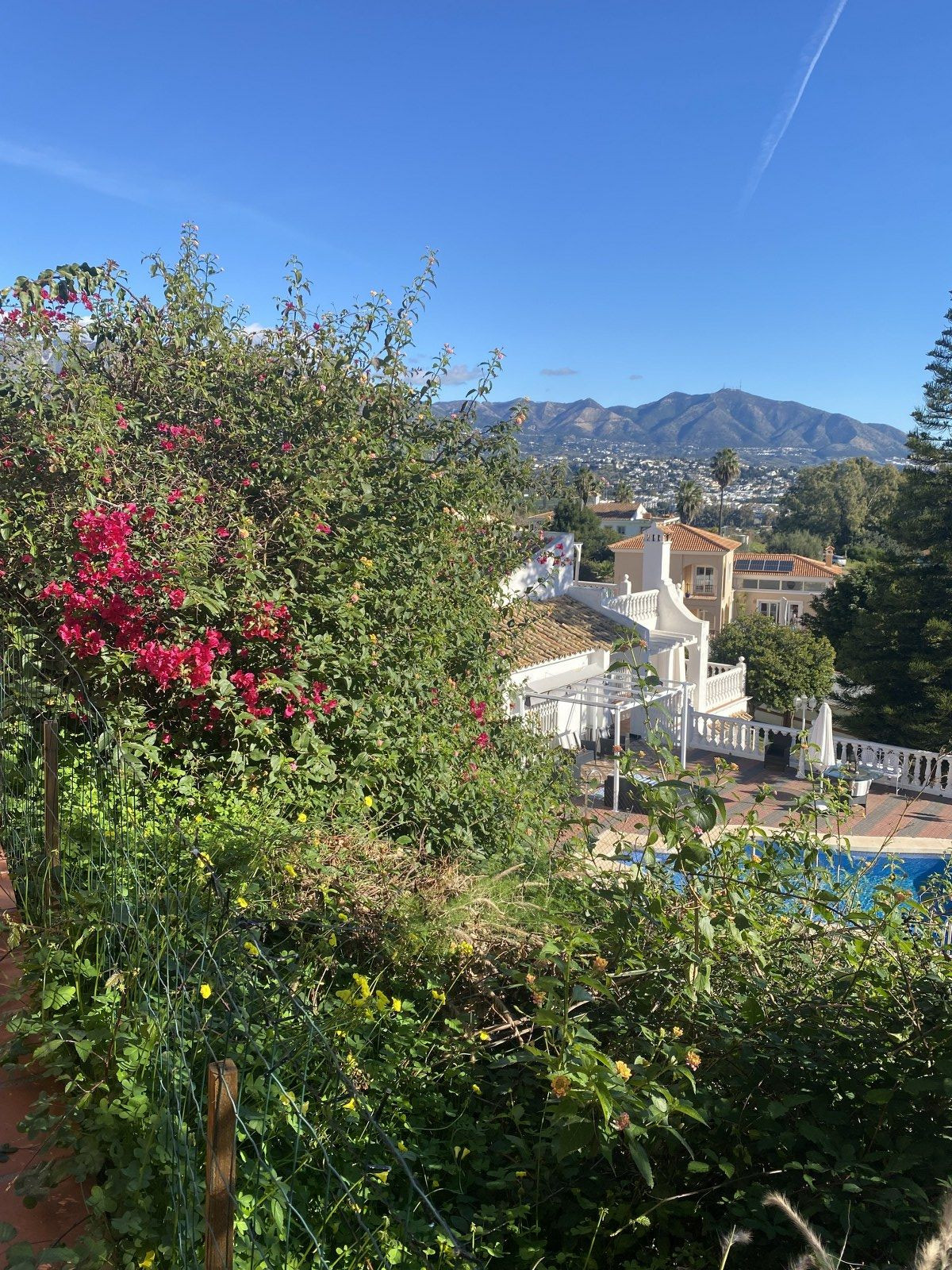 Property main view 51