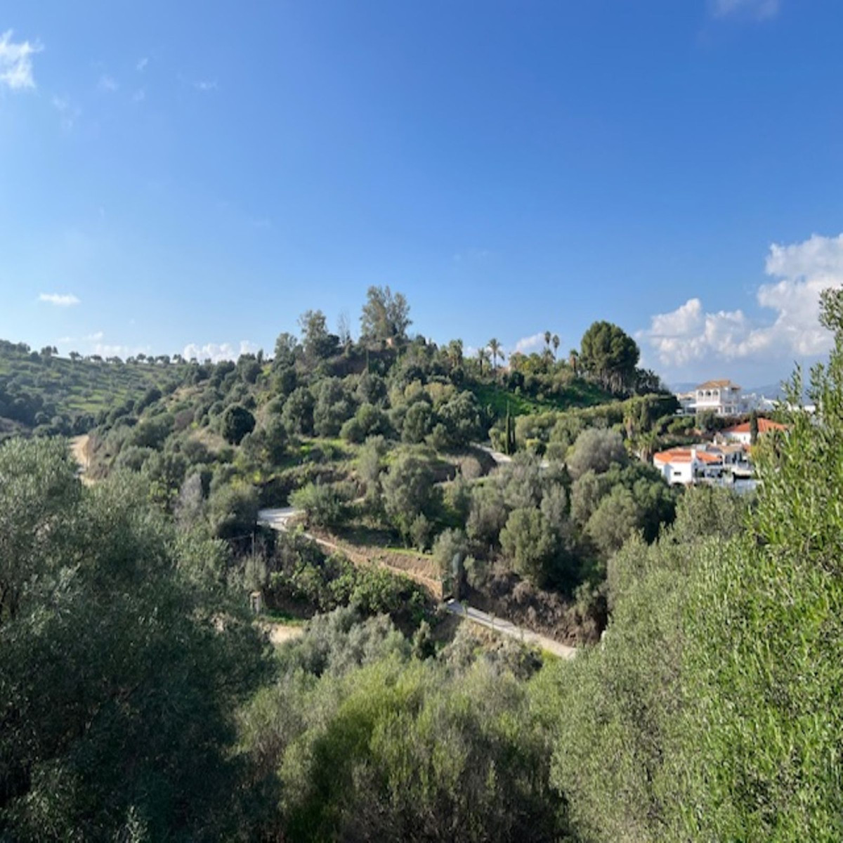 Property main view 37