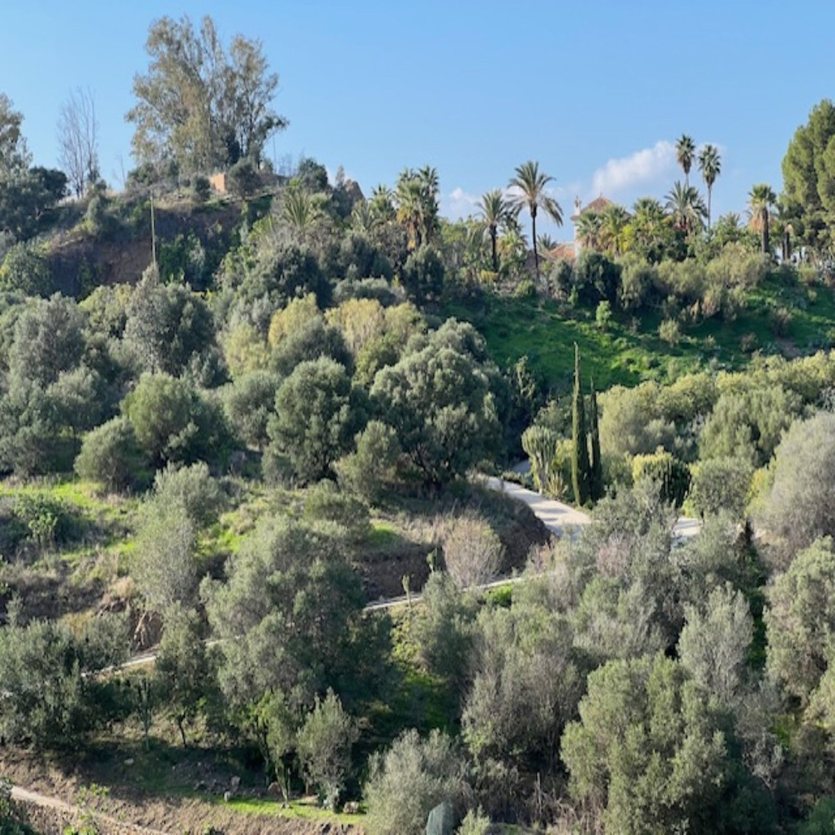 Property main view 38