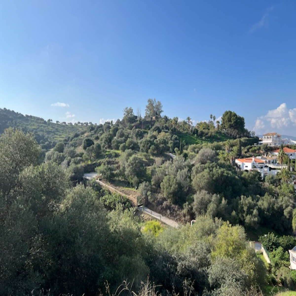 Property main view 39