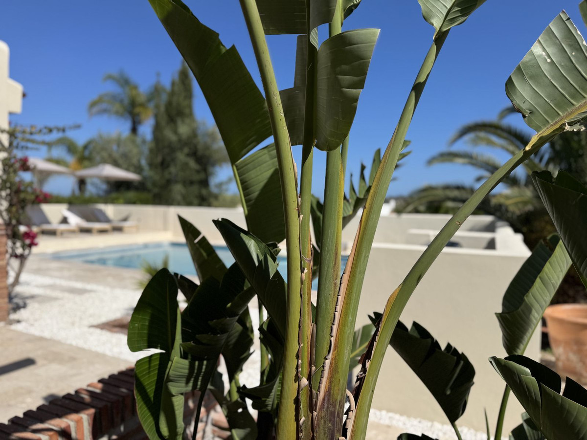 Huis te koop in Cerros del Aguila | 3 slaapkamers H5160793
