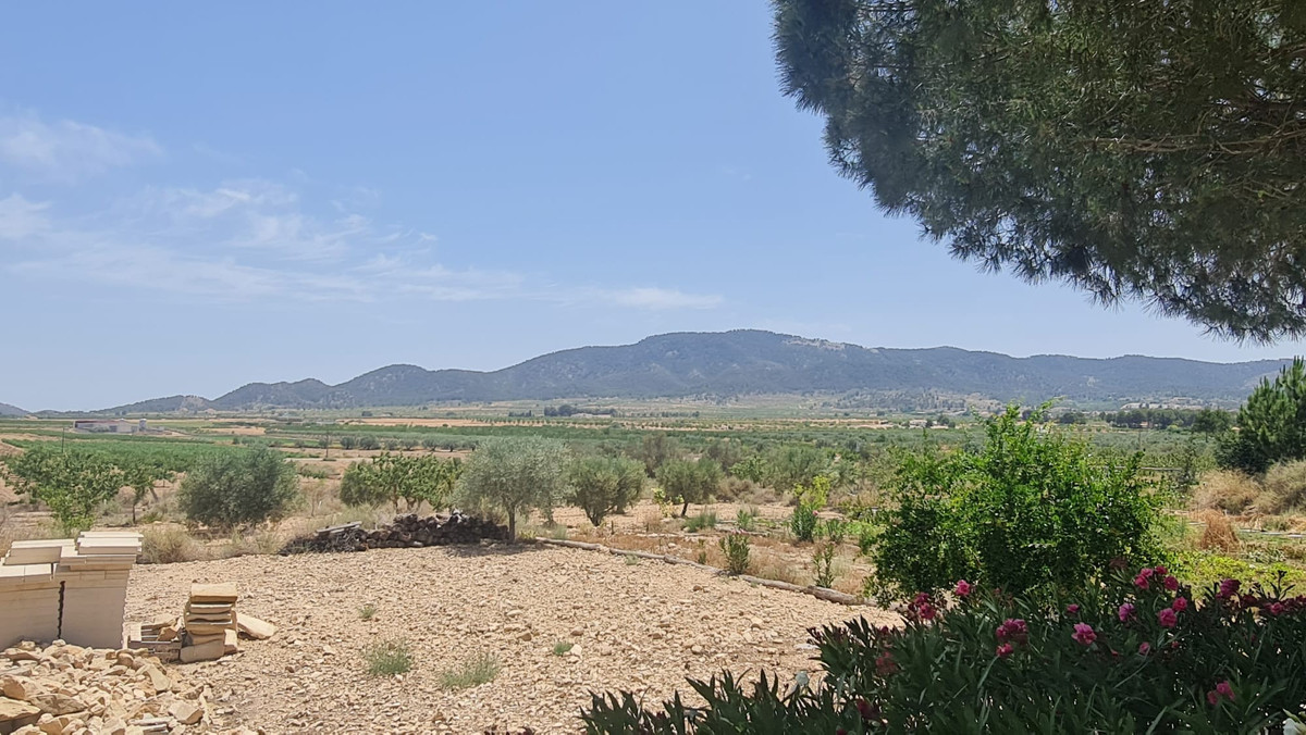 Property main view 67