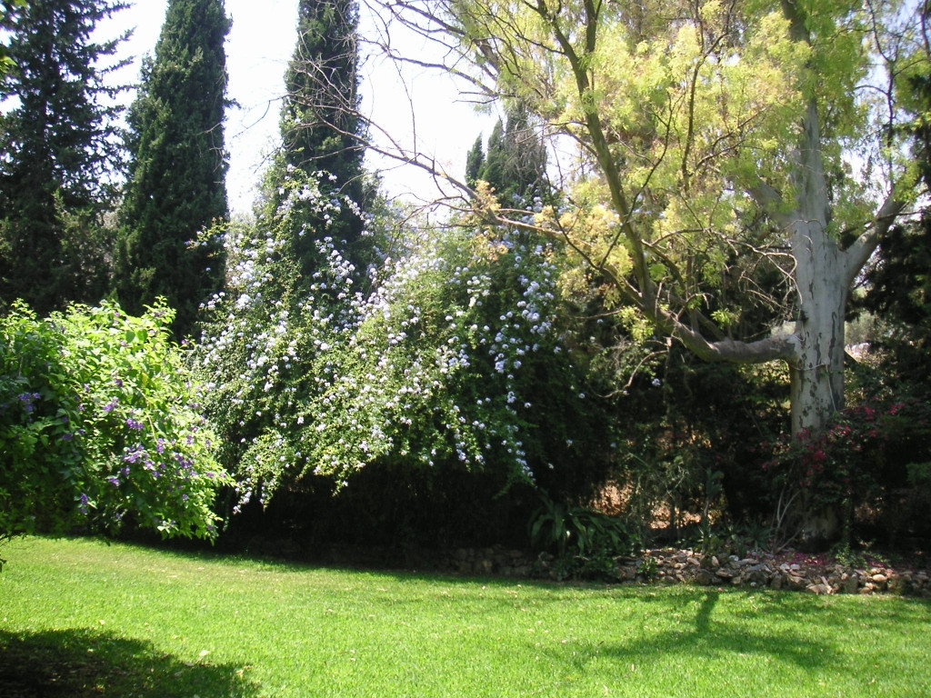 Finca - Cortijo in Churriana-4